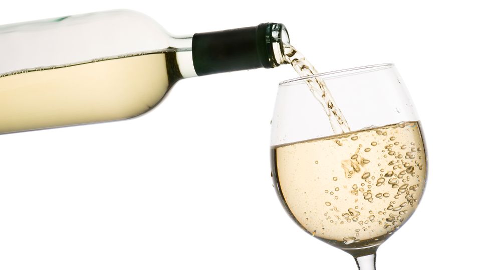 Wine 101: A Simple Introduction to the World of Wine