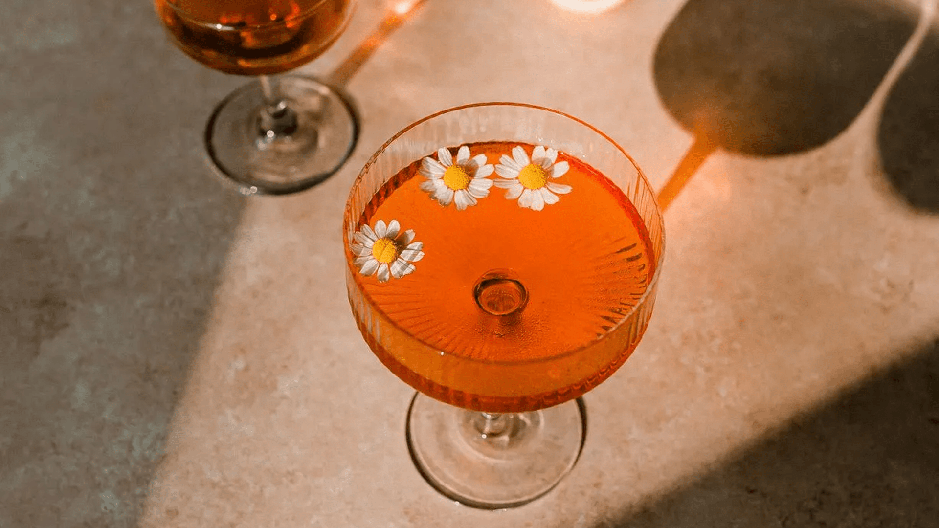 Wine Storage and Aging: How to Keep Your Wine in Perfect Condition