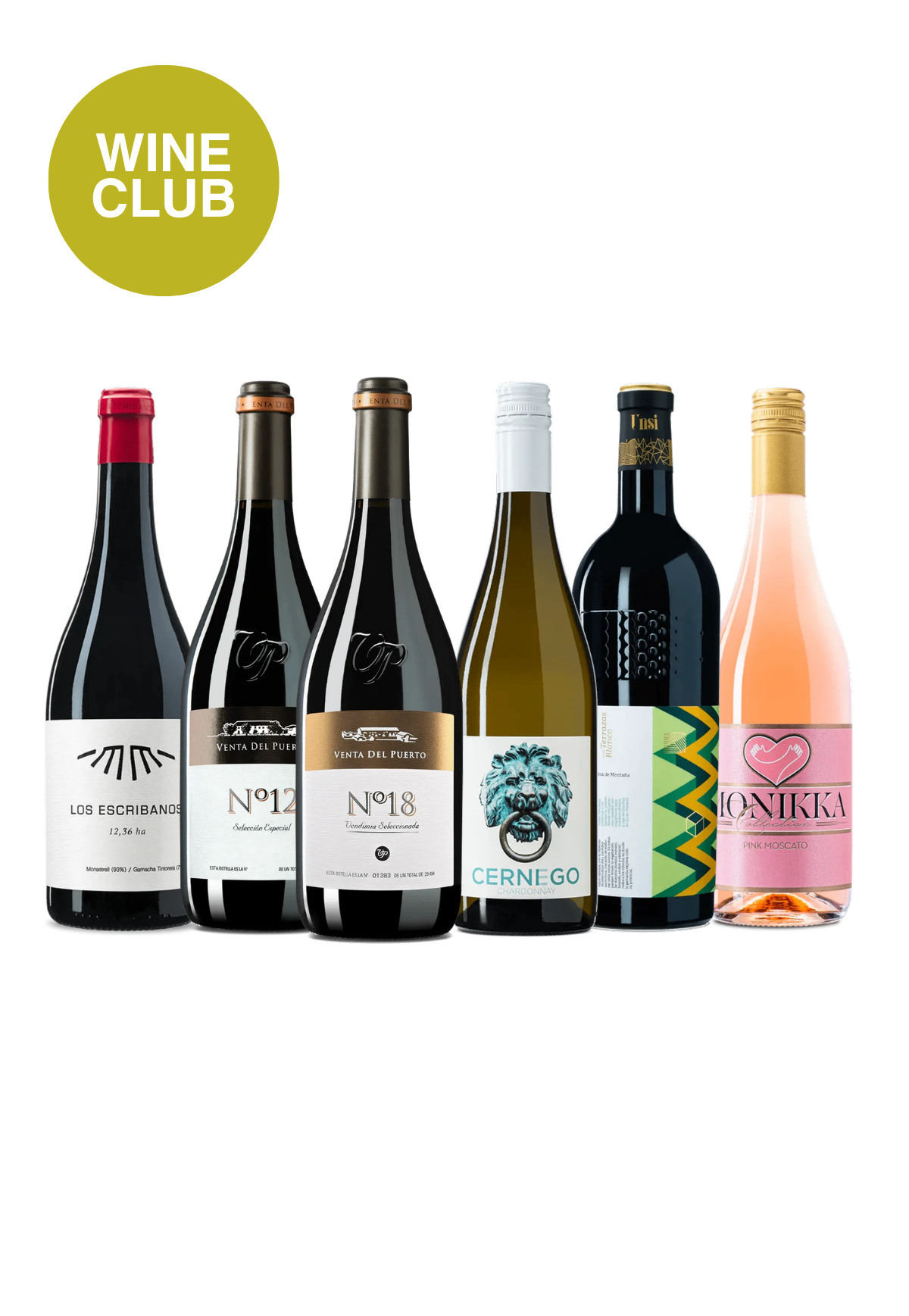 6 Bottles Club - Friends & Familia
