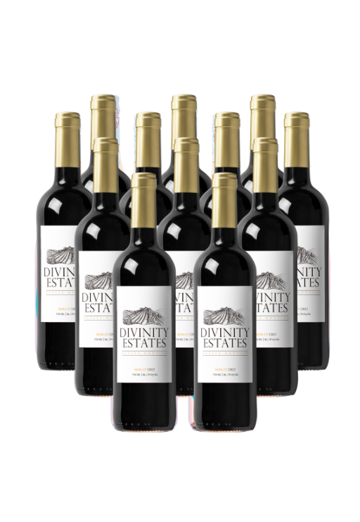 Divinity Estates Merlot 2023