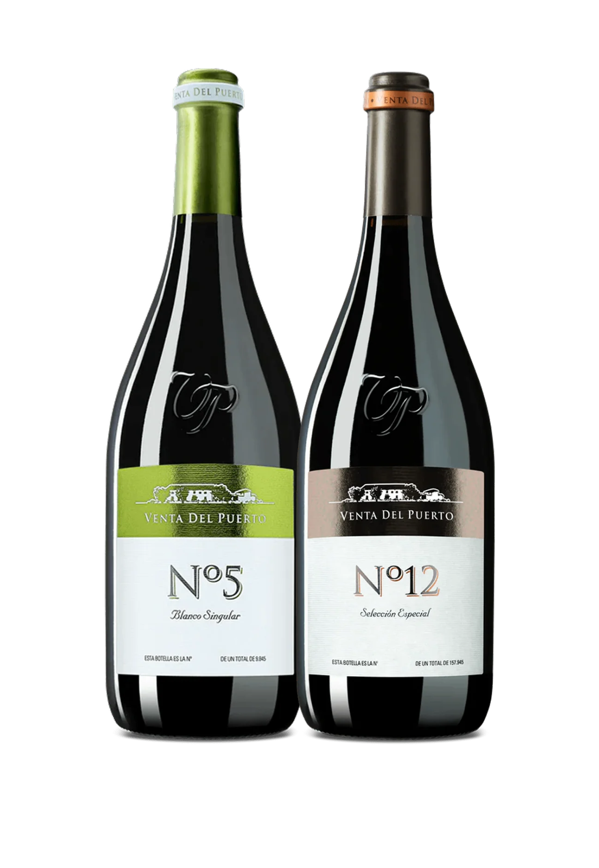 Two Bottles of Venta del Puerto with VinBottle Silver 2-Bottle Travel Case
