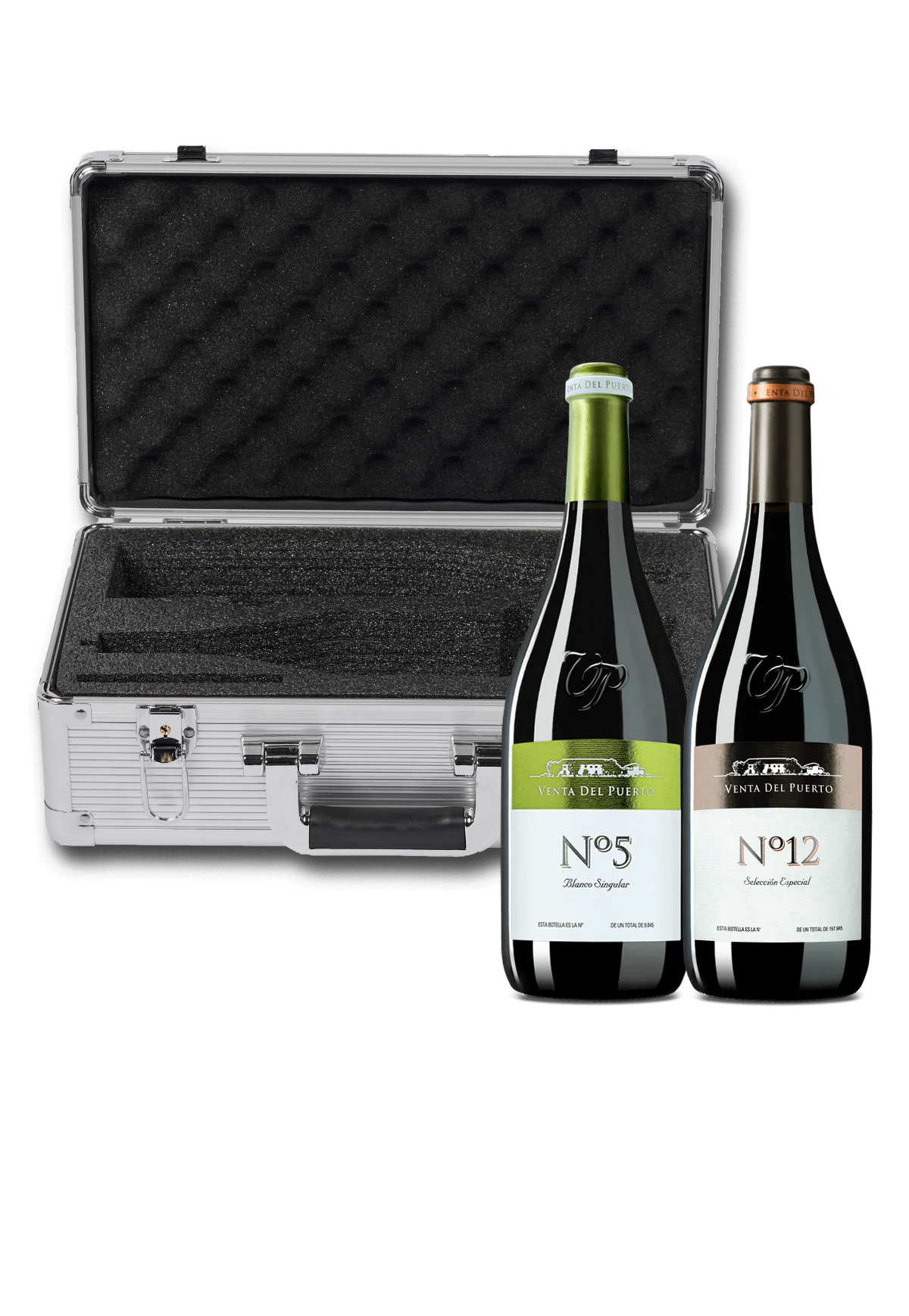 Two Bottles of Venta del Puerto with VinBottle Silver 2-Bottle Travel Case