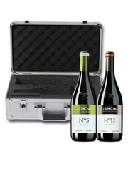Two Bottles of Venta del Puerto with VinBottle Silver 2-Bottle Travel Case